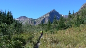 PICTURES/Swiftcurrent Pass Trail/t_Swiftcurrent Trail6.JPG